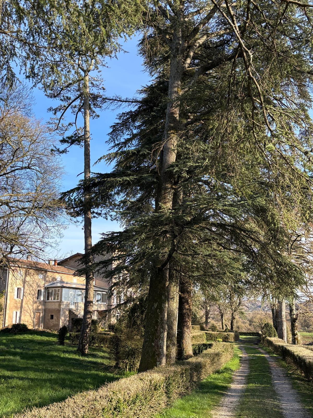 Domaine de Simone, Madieres le bas